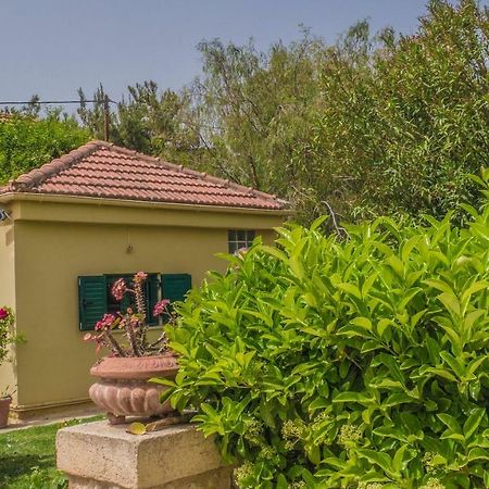 Sylvia'S Guest House Kavrokhorion 외부 사진